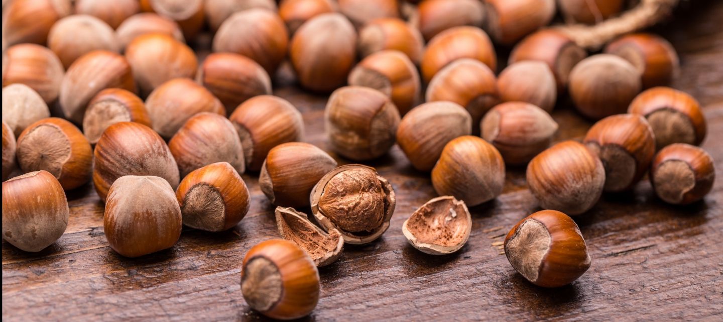 Huile de noisette bio – le secret des peaux nettes et équilibrées