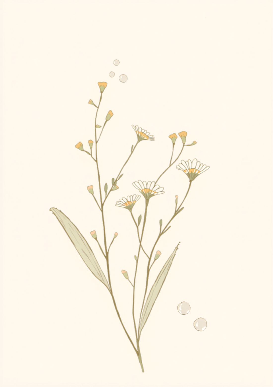 Soin Visage Peau Sensible Naturel : Guide Complet pour une Peau Apaisee