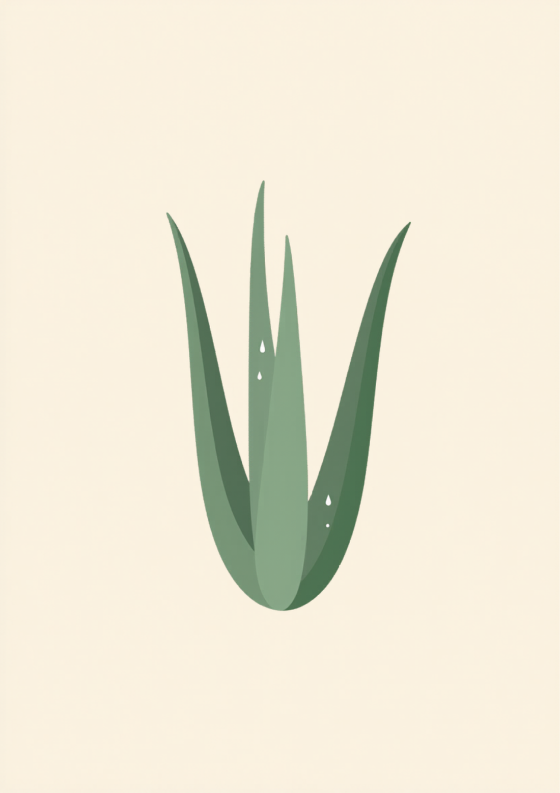 Gel aloe vera : bienfaits, utilisations et guide complet pour la peau