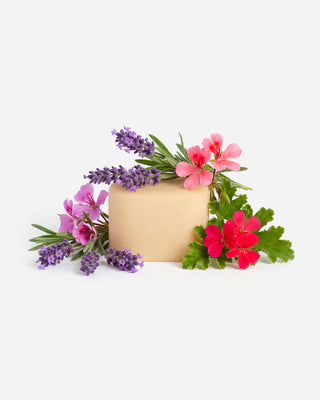 Recharge déodorant solide naturel floral basic. - ingrédients floraux naturels